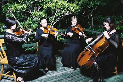 Nikau Quartet