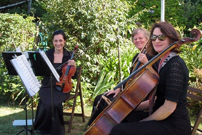 Nikau Quartet