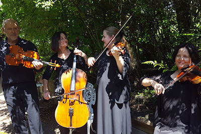 Nikau Quartet