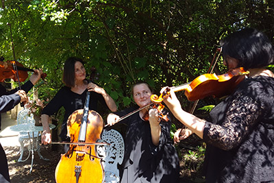 Nikau Quartet