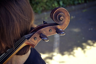 Nikau Quartet